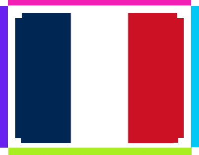 France World Cup Flag